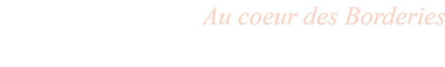 store_logo-1