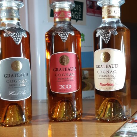 lot découverte gustative des cognacs avec les années