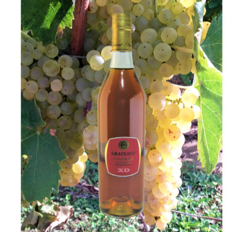 Cognac XO - bouteille 70