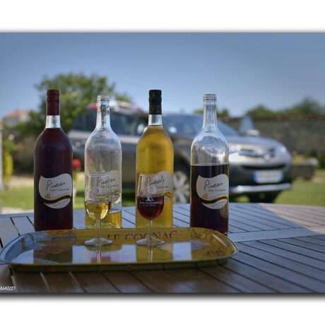 PINEAU  ROUGE EN LITRE